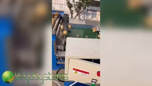 Сортировка картофеля, калибровка овощей и фруктов Vega Sorting 3000