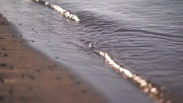 Город активных людей смотреть онлайн