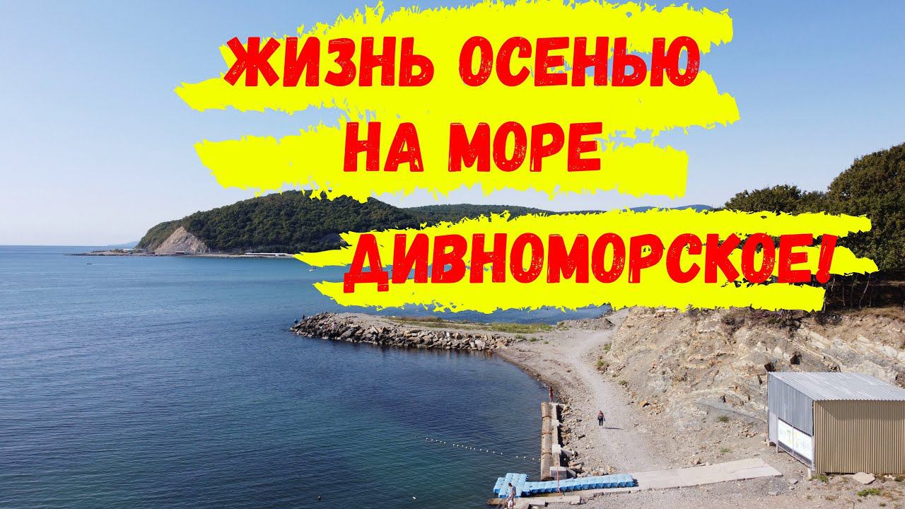 КАК ЖИВУТ ЛЮДИ НА МОРЕ ОСЕНЬЮ? Дивноморское - жизнь на море.