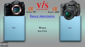 Sony Alpha 99 vs Sony Alpha 200