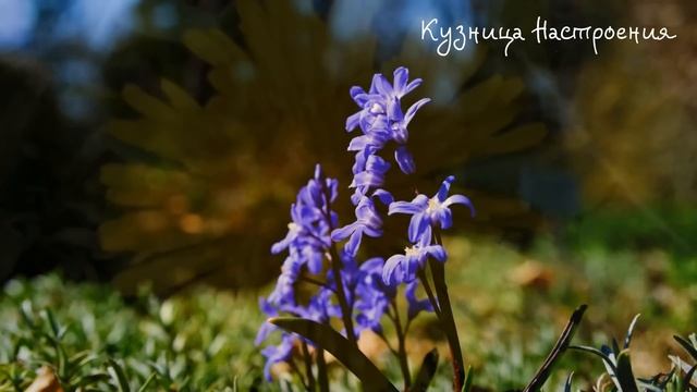 21 апреля День Родиона. Что нельзя делать 21 апреля. Народные традиции и приметы.
