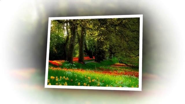 Красивые пейзажи весны.Красивые картинки весны фото
