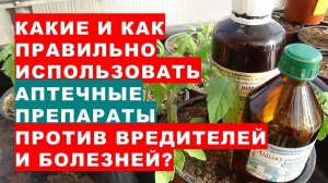 Как и какие аптечные препараты правильно использовать для защиты растений от вредителей и болезней?