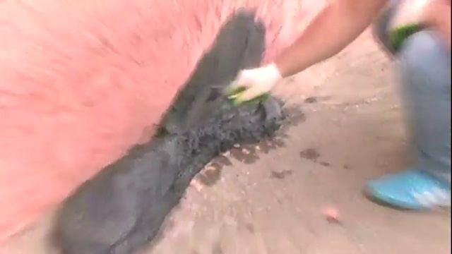 Лучший материал для ремонт мягкой кровли своими руками