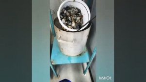 Определение средней плотности щебня.