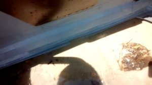 Лодка Гидра 350