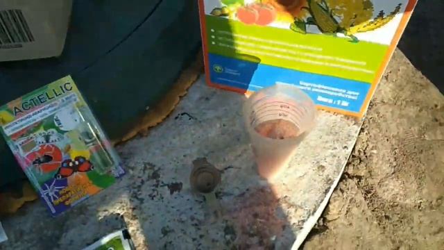 Обработка клубники весной от клеща, насекомых и болезней смотреть онлайн