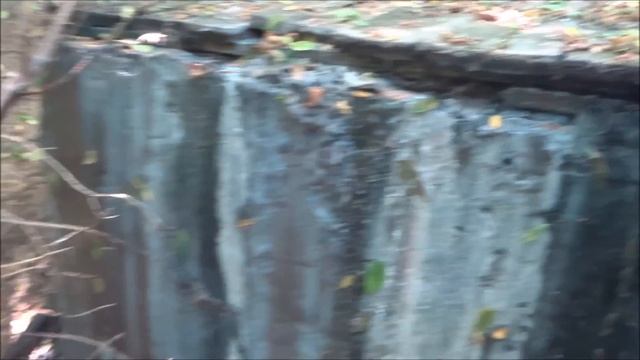 26 июня 2016 год. Ботанический сад ЮФУ. Слив канализации на территорию Сада продолжается. смотреть онлайн