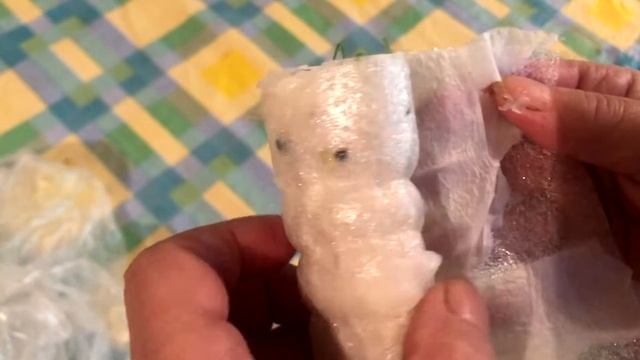 Лук порей в улитке  Часть 2 #садсвоимируками #садоводство #рассадалукапорея