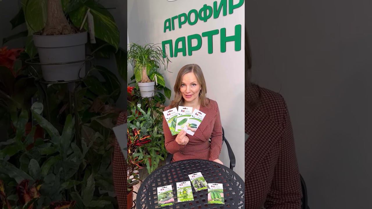 7 лучших огурцов с сумасшедшей урожайностью | #SemenaPartnerShorts