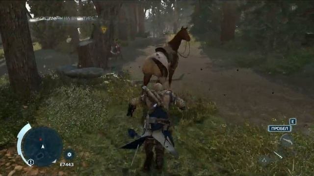 Assassins Creed 3 - Эпизод 29 [Свободная охота Фронтир]