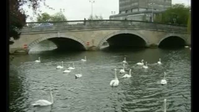 BEDFORD RIVERSIDE. 2006 смотреть онлайн