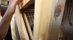 Делаем клетку кролику Тимке. Покупки в зоомагазине.