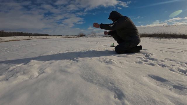Расставили жерлицы на пруду, и началось... Щука оголодала в глухозимье. смотреть онлайн
