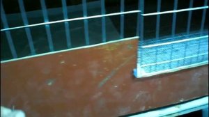 Брудер для перепелов - модернизация.