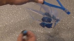 Аккумулятор холода из технического спирта своими руками