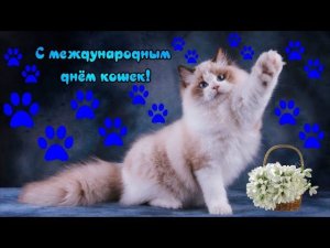 С международным днём кошек и первым днём весны!