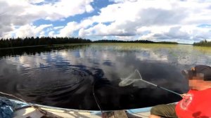 Клёвая рыбалка на спиннинг. Ловля окуня, щуки, язя. Рыбалка на озере.