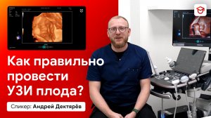 УЗИ плода на 2-3 триместре. Рутинное исследование при беременности