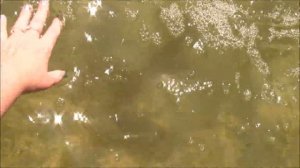 ЧЕБОКСАРЫ 2020||Парк "Амазония" г. Чебоксары||Выбрались на фотосессию||Cheboksary city