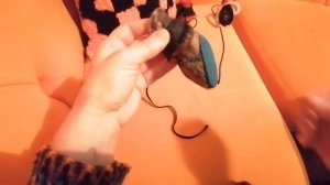 Как у собачки привязать ботиночки чтоб не потерялись