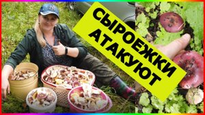 VLOG_ АВГУСТ ГРИБЫ 2022???_ Грибная охота удалась!
