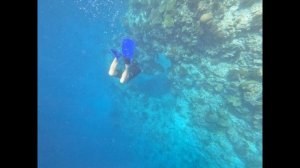 Trip to the Maldives | Sun Siyam Vilu Reef | Part 2 | 4K #live2travel