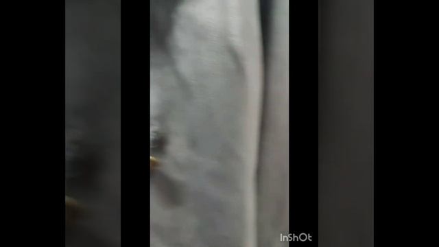 Обзор и продажа одежды секонд хэнд?низкие цены? смотреть онлайн