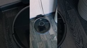 колонка Алиса  и пылесос что делали пока хозяйка в отпуске была?