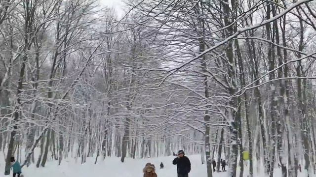 Зимние катания на пластиковом корыте с горки