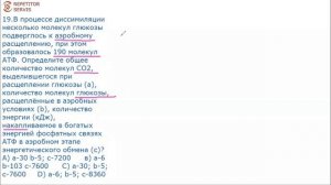 Биология. Решение простых задач на АТФ