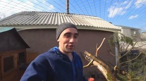 Супер Вольер для фазанов! Разведения фазанов