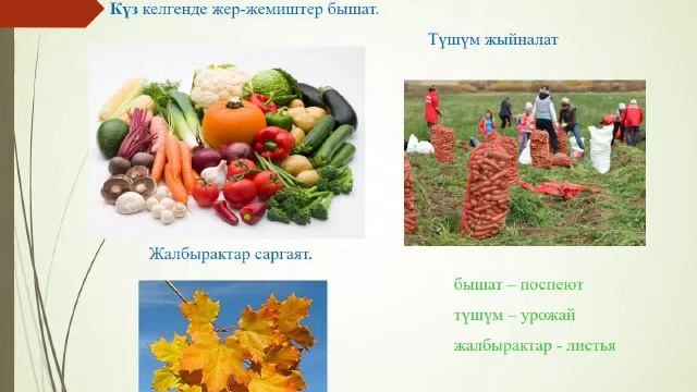 Жээнбекова А.Т. сш3 смотреть онлайн