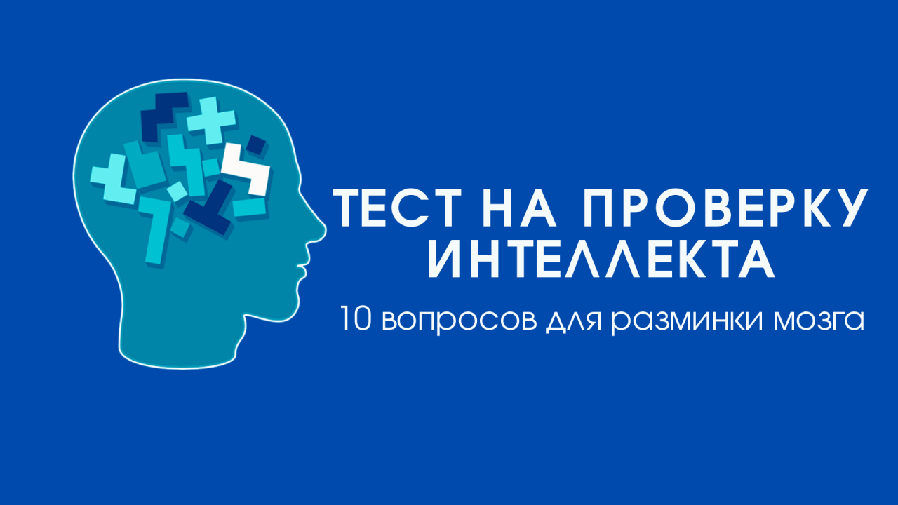 Тесты на эрудицию и интеллект iq