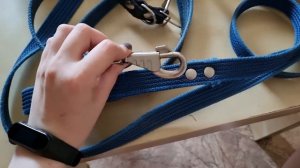 Что нужно для появления щенка в доме