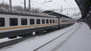 Электропоезд ЭП2Д-0080 (ЦППК) пригородный поезд №6687/6688 Балашиха - Апрелевка.