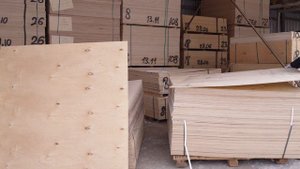 Чем строительная фанера отличается от сортовой