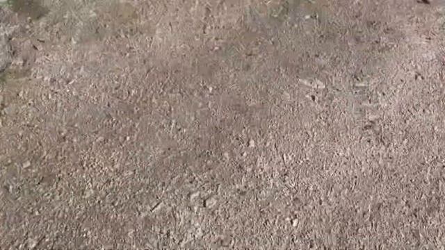 Спина не залізна, але ми з ними справились смотреть онлайн