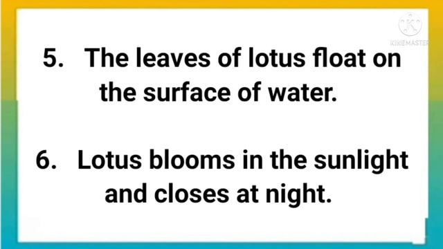 10 Lines on National Flower Lotus in English | Few Lines on Lotus | 10 Lines on Lotus | StudyPride смотреть онлайн