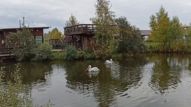  смотреть онлайн