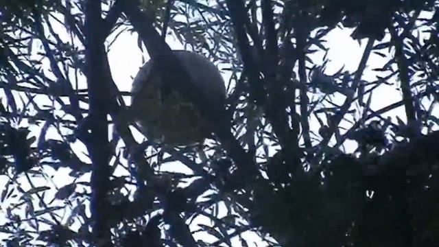 Выпуск 2: Деревня Крева [Russian Discoveries] смотреть онлайн