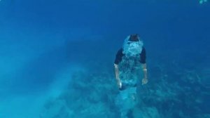 UNDERWATER  Montage with the Stuart Cove Company