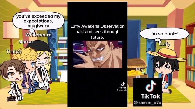 whitebeard pirates  post timeskip luffy react to luffy future  31