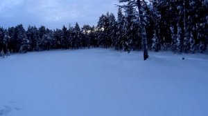 Глухарь. Охота на лунках