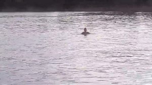 Успенское водохранилище  Пляж Майами Бич 6 08 2016