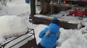 Гуляем с Мишкой по снегу