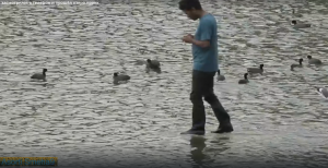 засмотрелся в телефон и прошёл озеро.пранк.