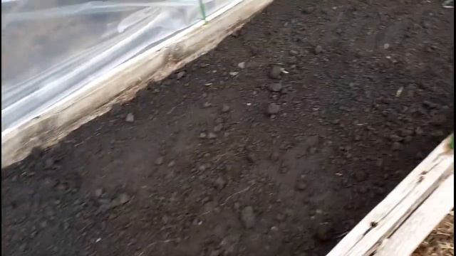 VLOG СДЕЛАЛИ ЗАБОР ДЛЯ СОБАК/ДОДЕЛАЛИ ПАРНИК/ПОСАДИЛИ ОГУРЦЫ смотреть онлайн