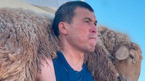Мужчина присел с бараном на плечах более трех с половиной тысяч раз и установлен рекорд в Казахстане