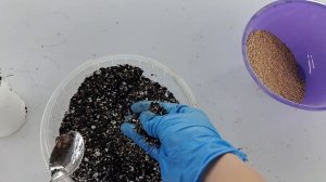 Грунт для верхнего полива для фиалок и комнатных цветов